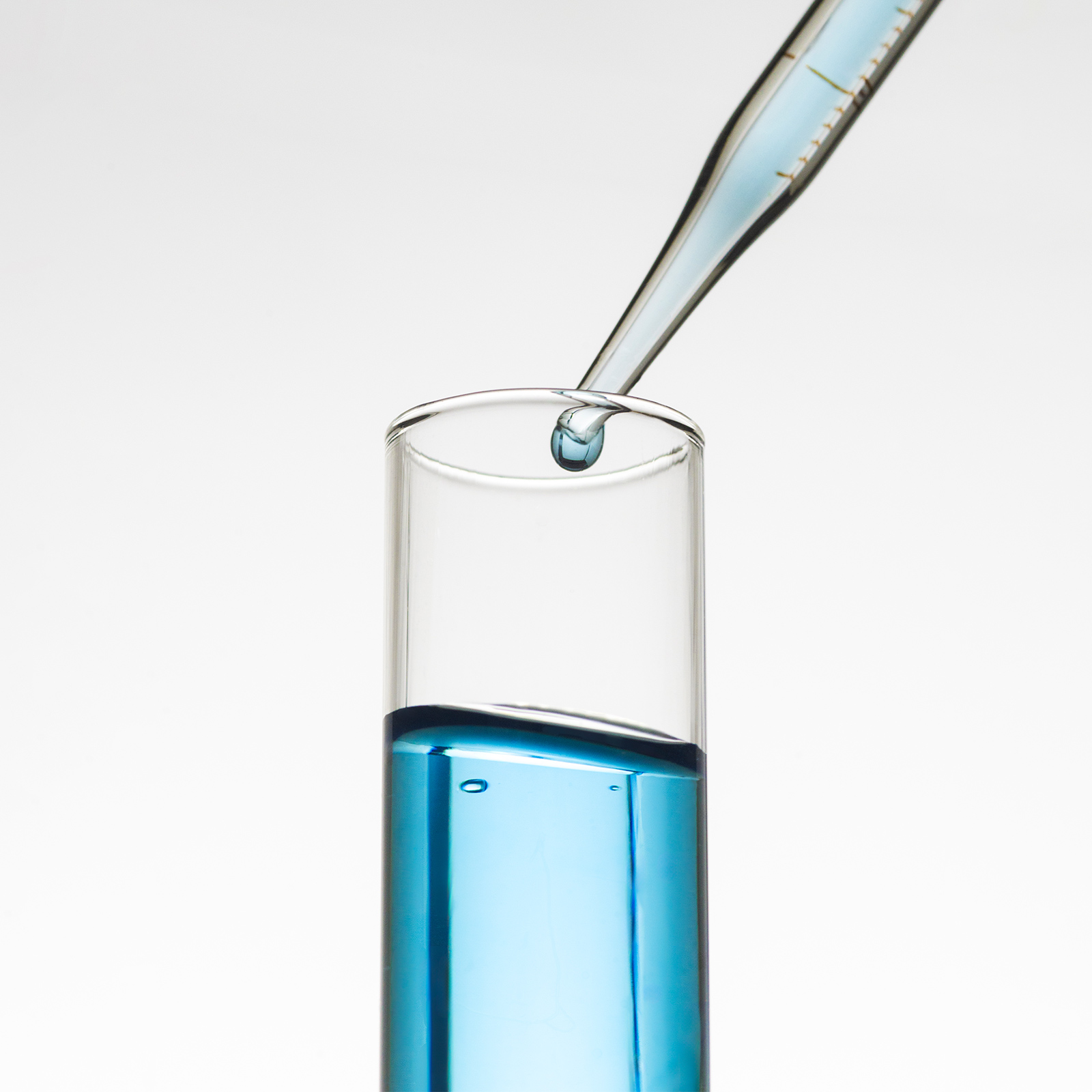 Dealer & Corporate Programs